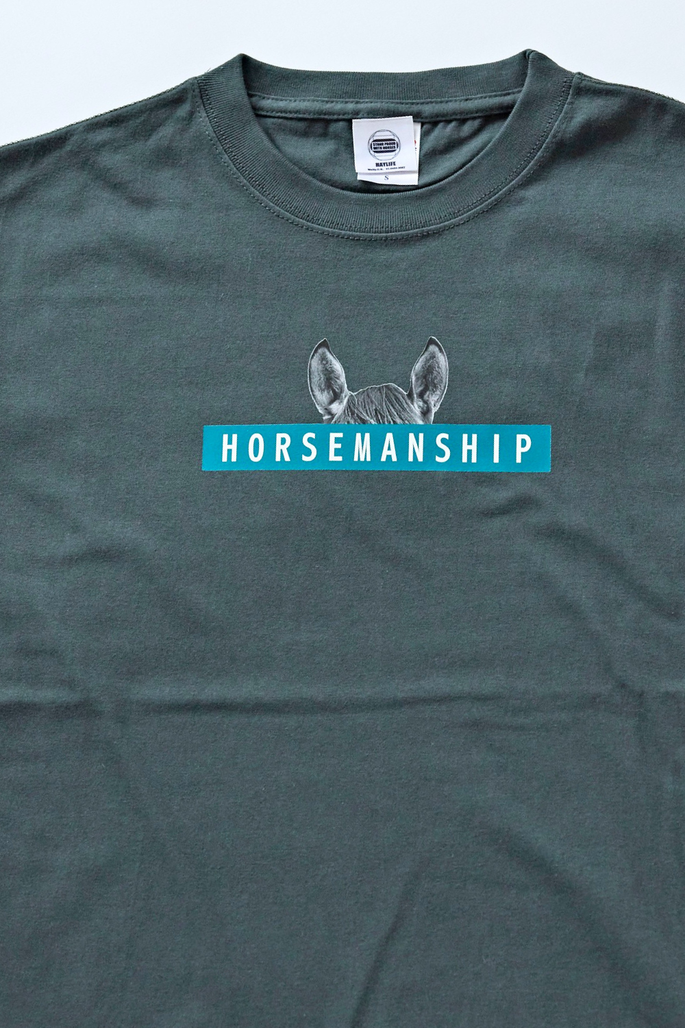 Best seller! HORSEMANSHIP