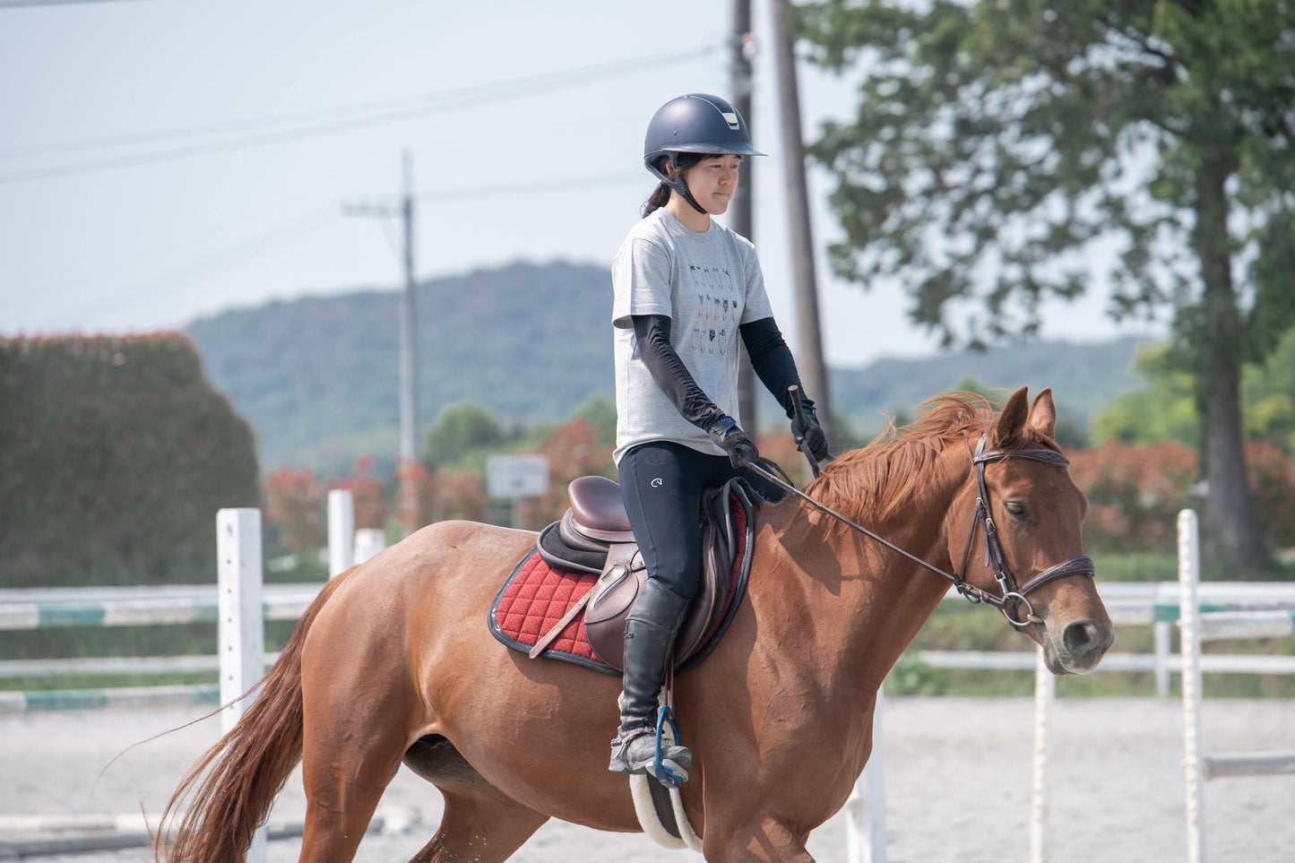 お馬のヘアカタログ