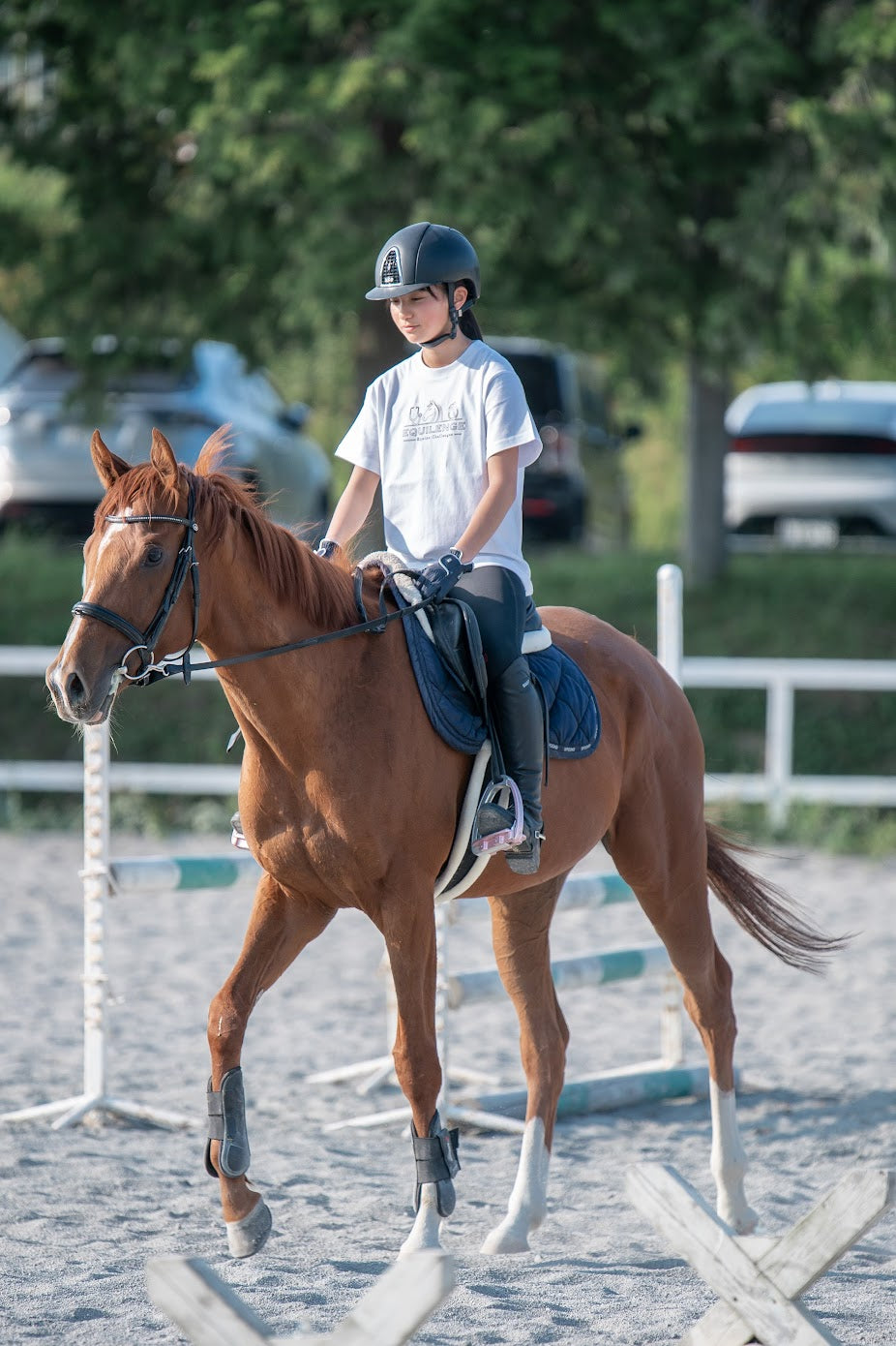 【NEW】EQUILENGE Tシャツ