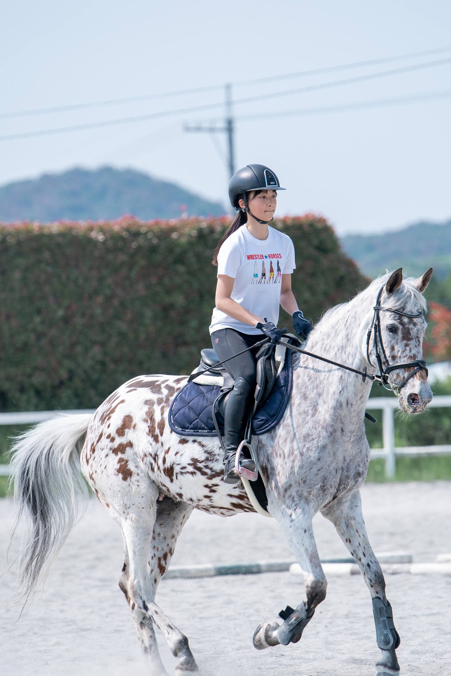 ■ KIDS■  WRESTLER★HORSES