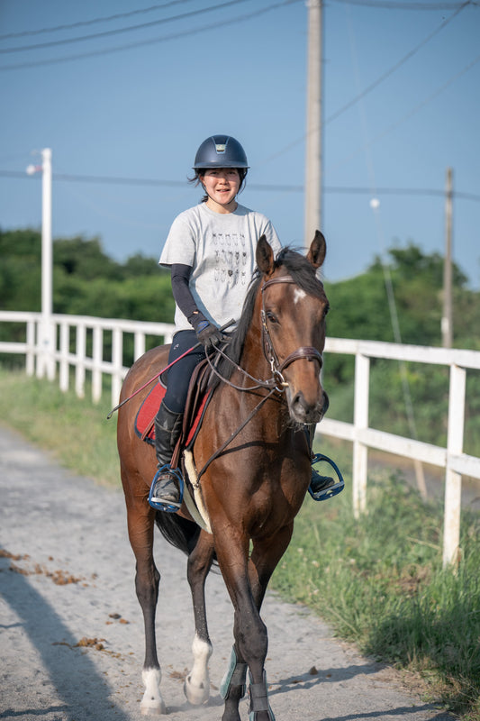 お馬のヘアカタログ