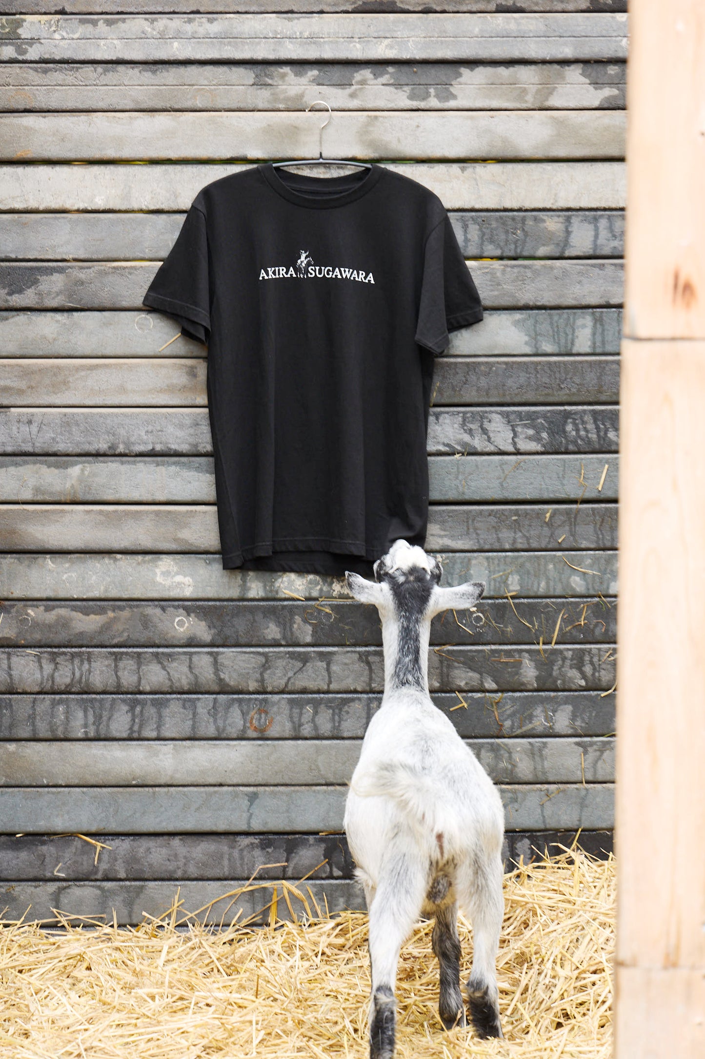 菅原明良騎手コラボ　にんじんプレゼントTシャツ2025【黒】