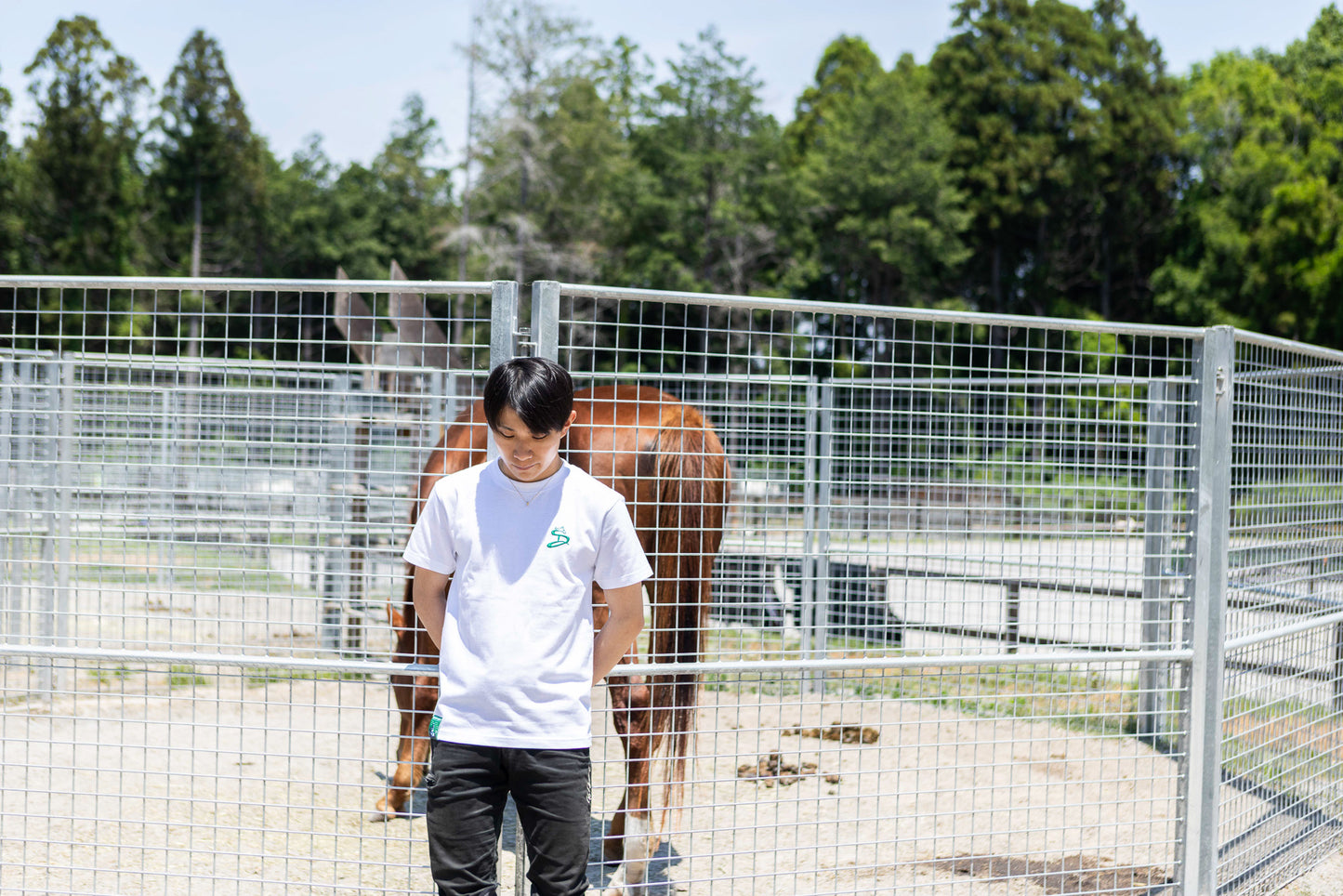 【佐々木大輔騎手】にんじんプレゼントTシャツ produced by HAYLIFE×Happy Horse Creators