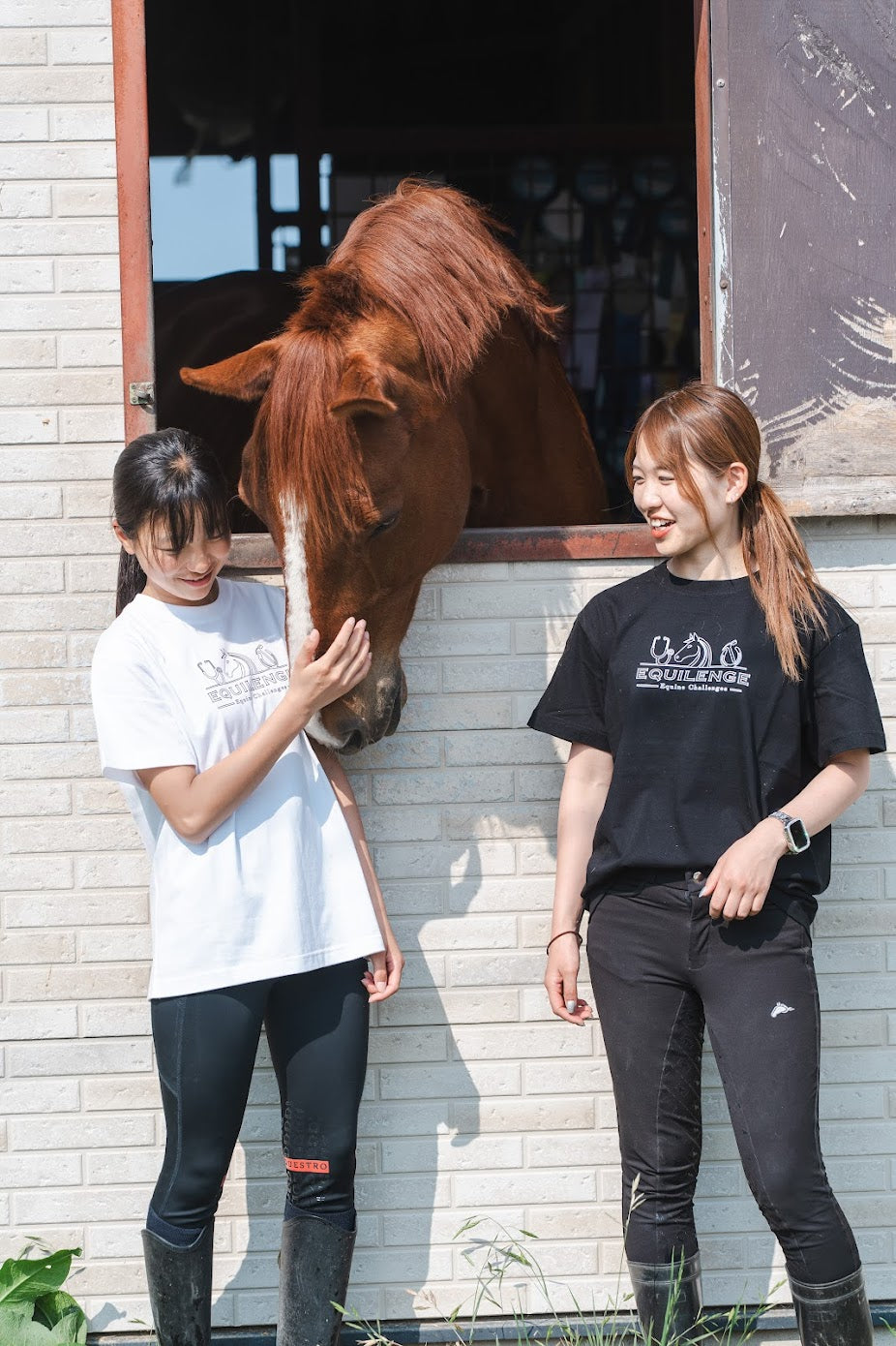 【NEW】EQUILENGE Tシャツ