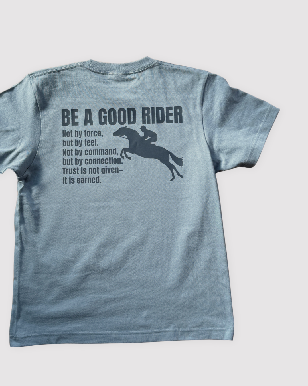 Horse Hair Catalog Long Sleeve T-Shirt