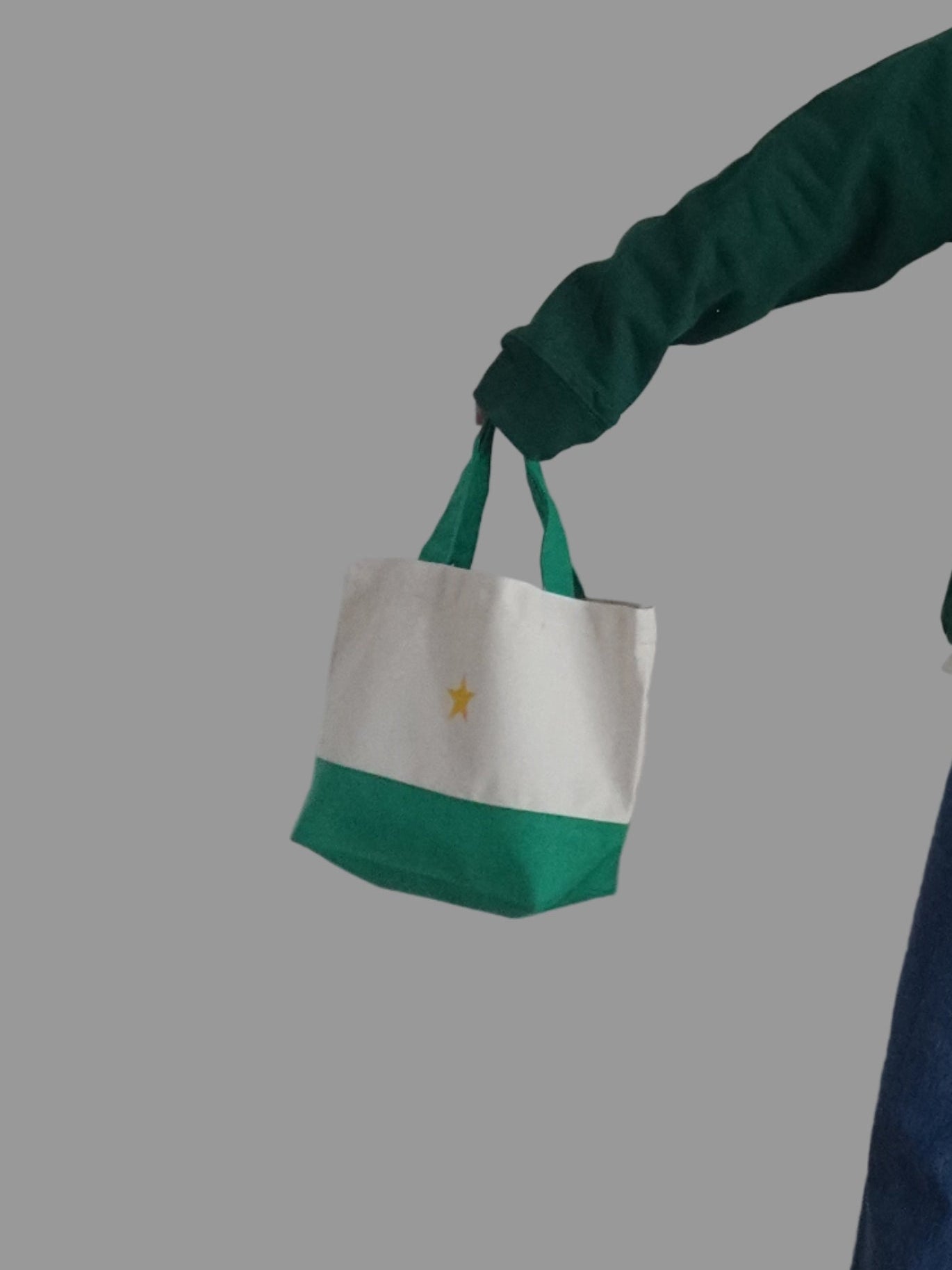 tote bag｜12月20日までの期間限定商品🎄 クリスマスHORSEのランチトート☆